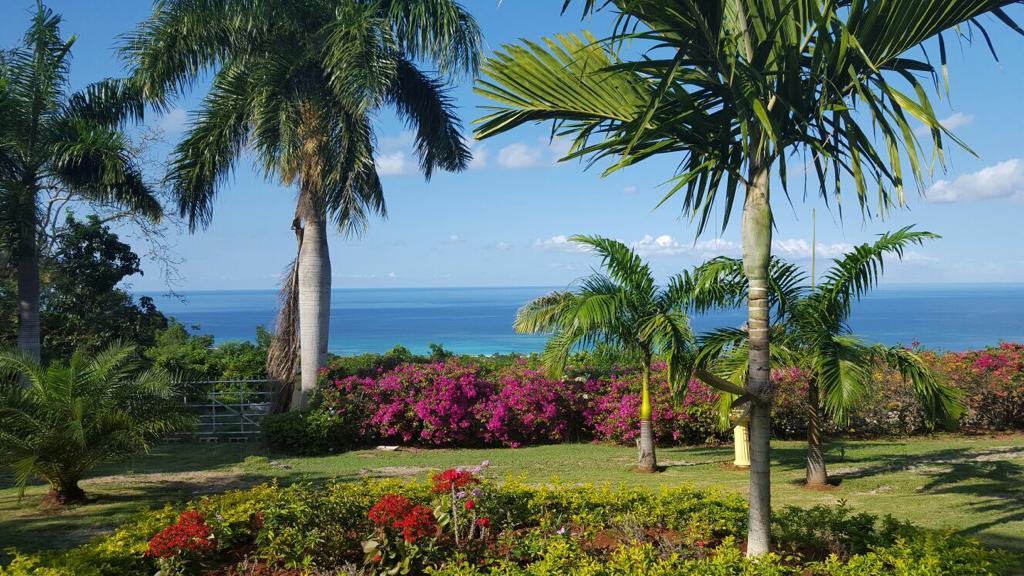 Homes for sale in Trelawny, Jamaica