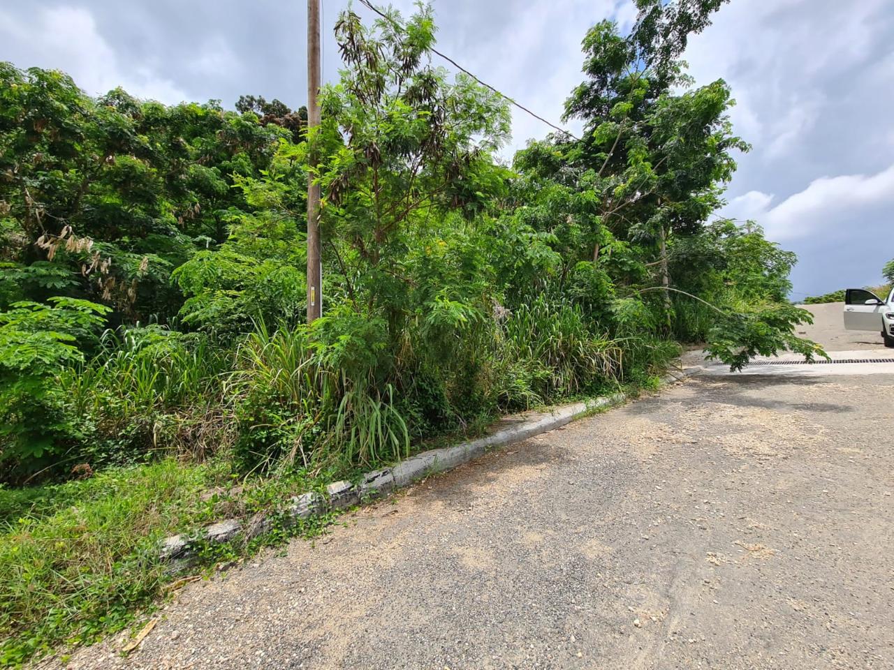 Homes for sale in St. Andrew, Jamaica
