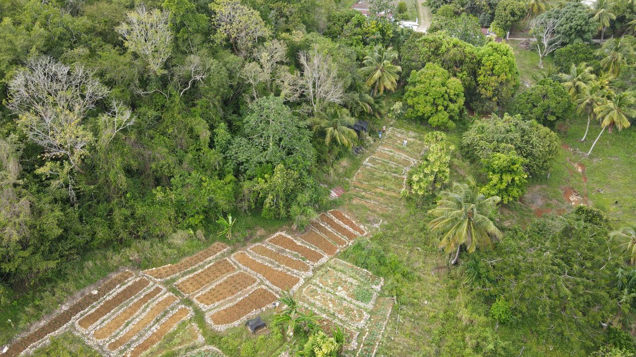 Land's for sale in Cambridge, St. James, Jamaica