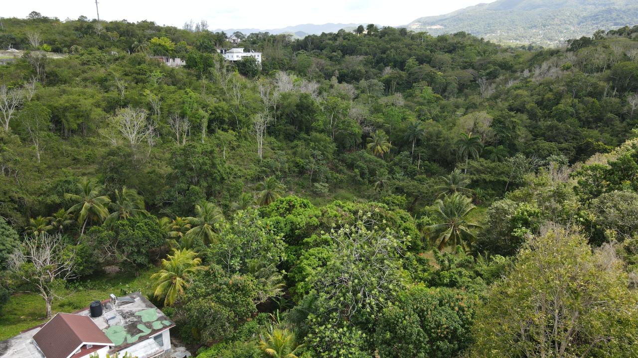 Land's for sale in Cambridge, St. James, Jamaica