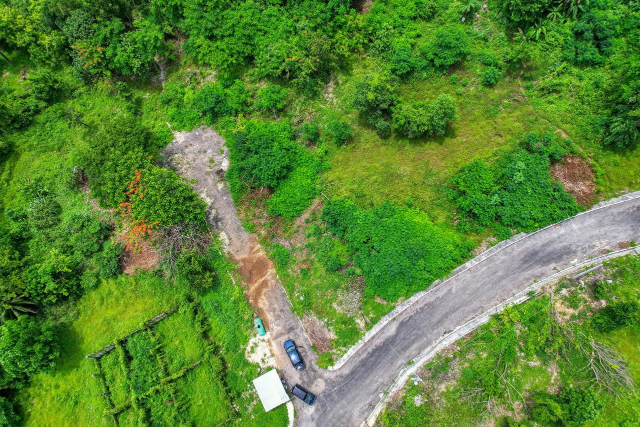 Homes for sale in Westmoreland, Jamaica