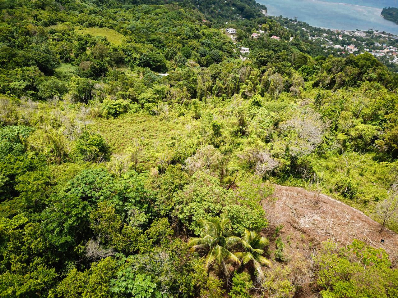 Land's for sale in Swift River, Portland, Jamaica
