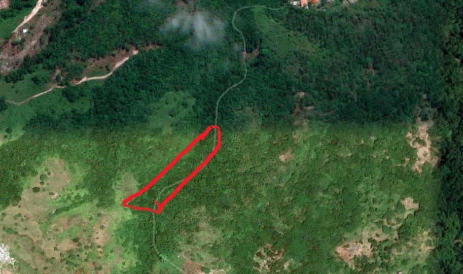 Land's for sale in Swift River, Portland, Jamaica