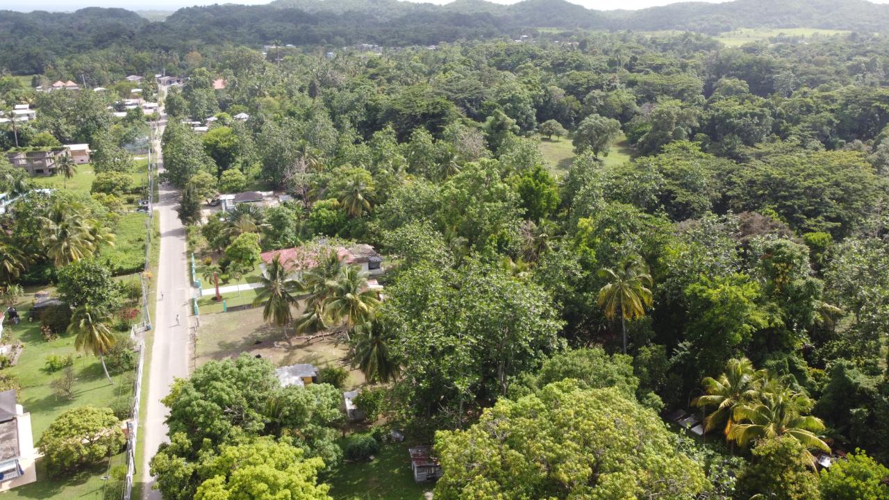 Homes for sale in Westmoreland, Jamaica