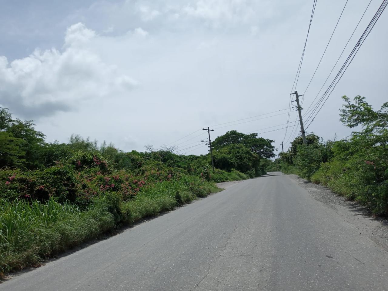 Homes for sale in Cedar Valley, St. Thomas, Jamaica