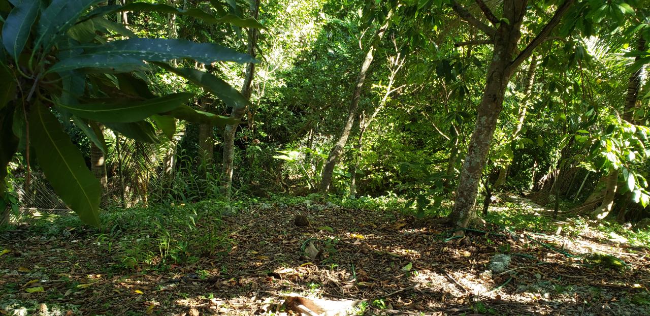 Property Image 29