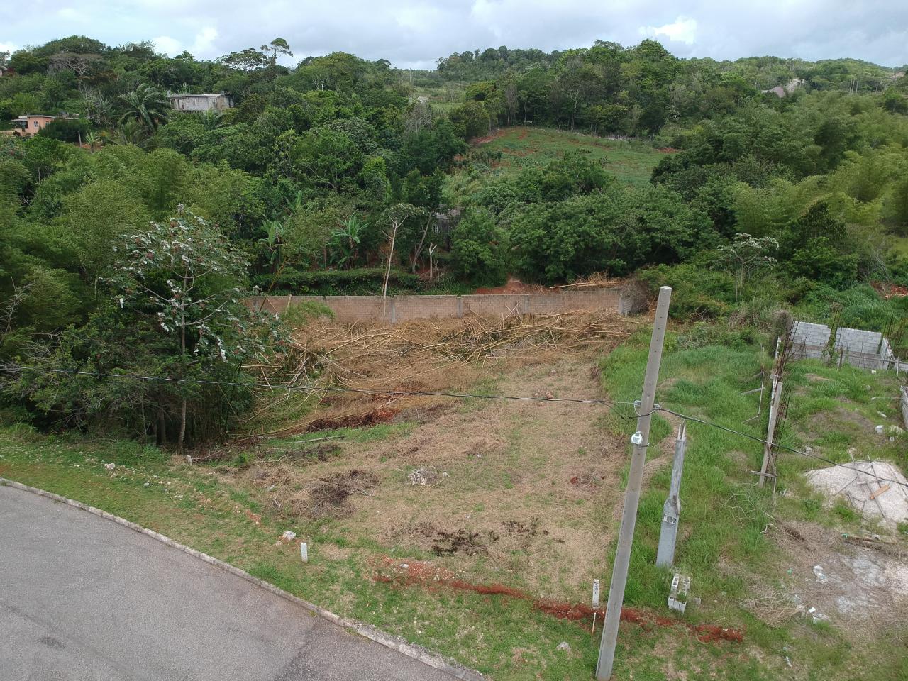 390 MOORLANDS MANOR LOT