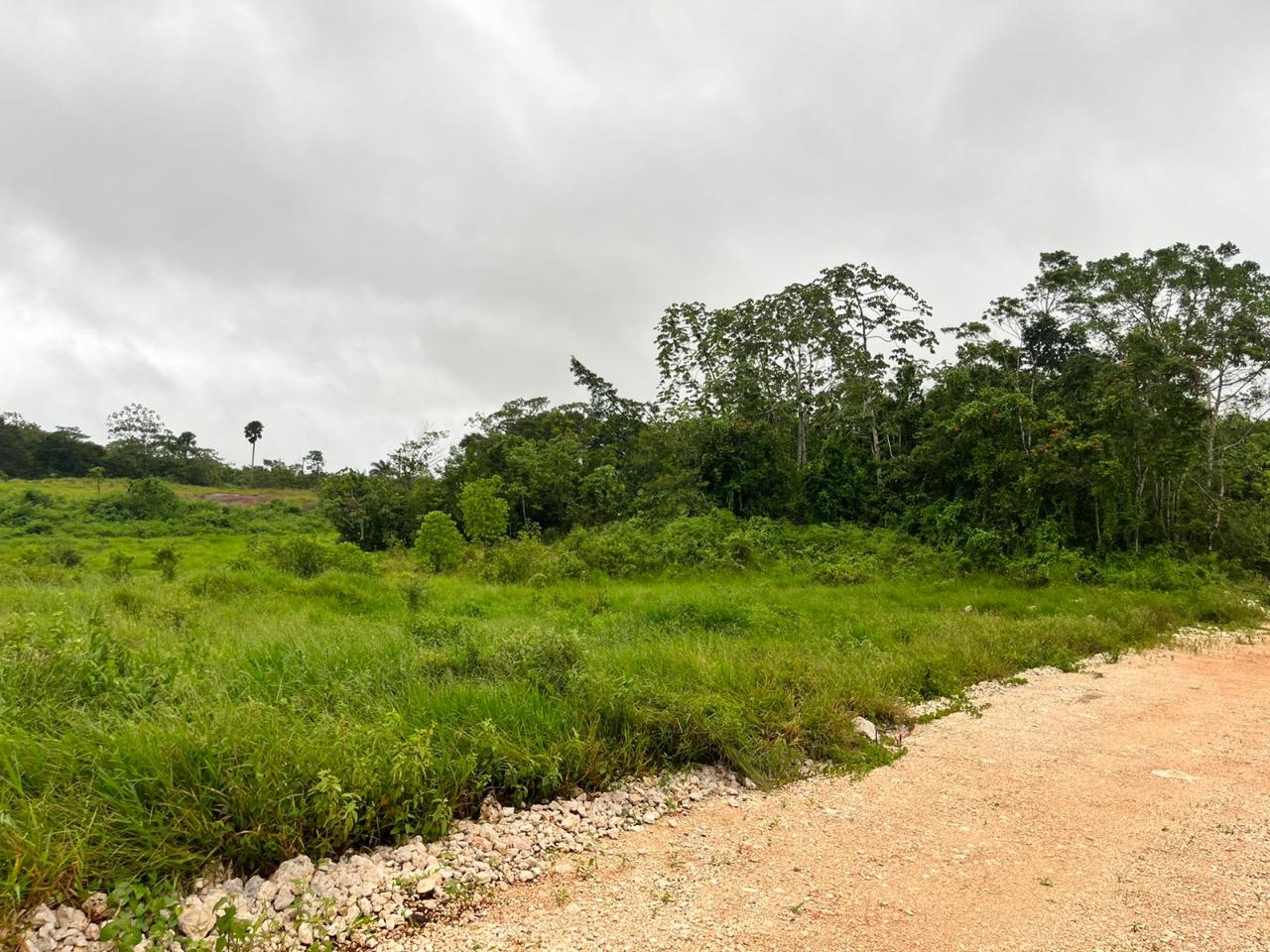 Residential for sale in Knockpatrick, Jamaica, 64494