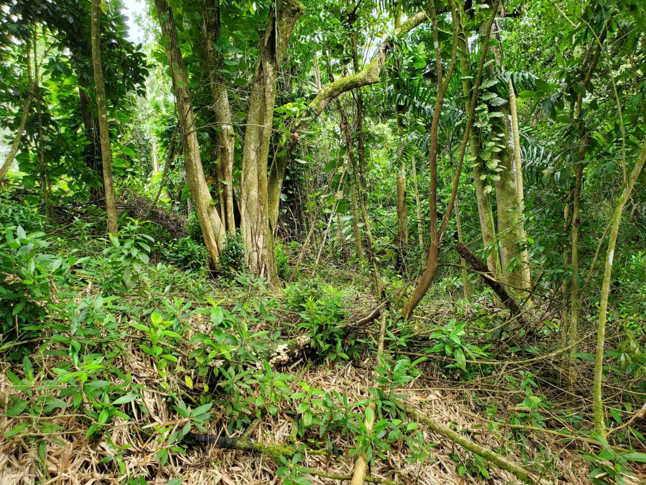 ELYSIUM, HOPE BAY 18, in Hope Bay MLS ID 68258