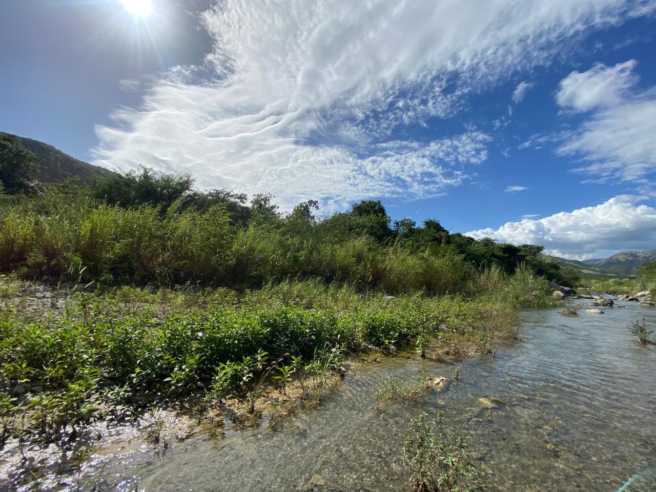 LAND PART OF NUNC, EASING