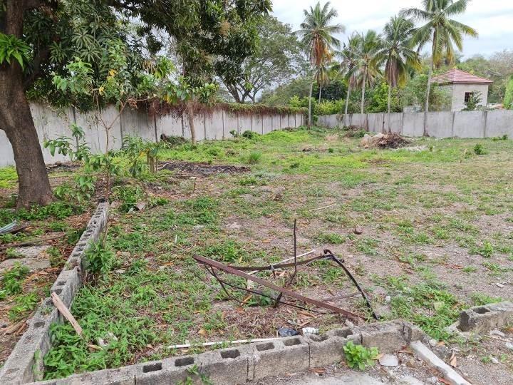 PART OF DOVE COT PARK (JO