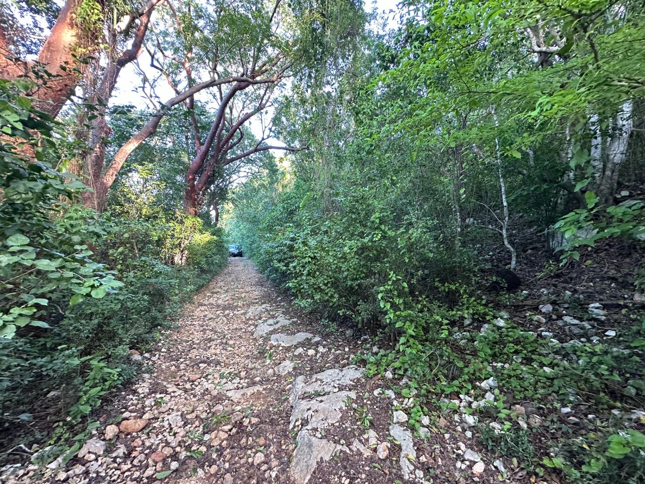 Property Image 8