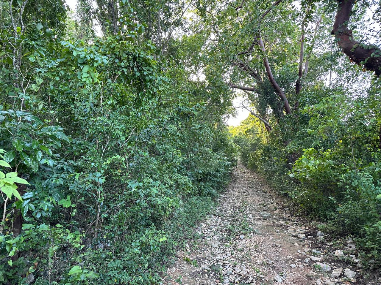 Property Image 10