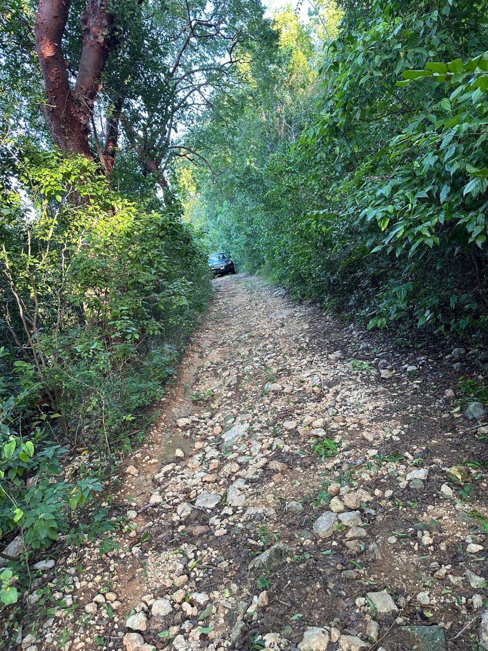 Property Image 11