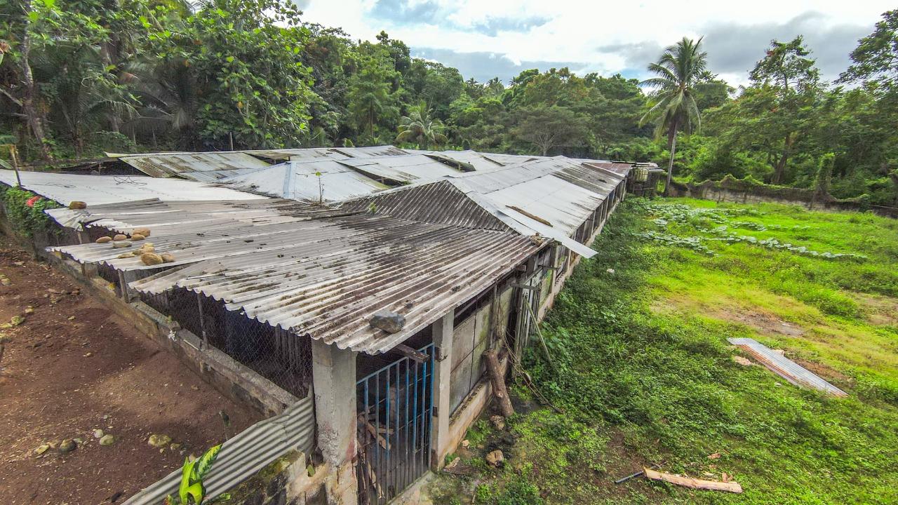 Property Image 17