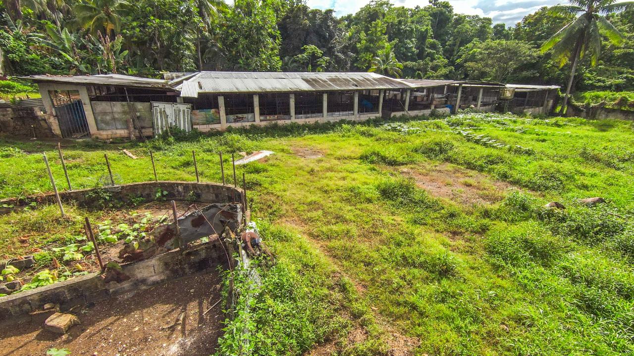 Property Image 19
