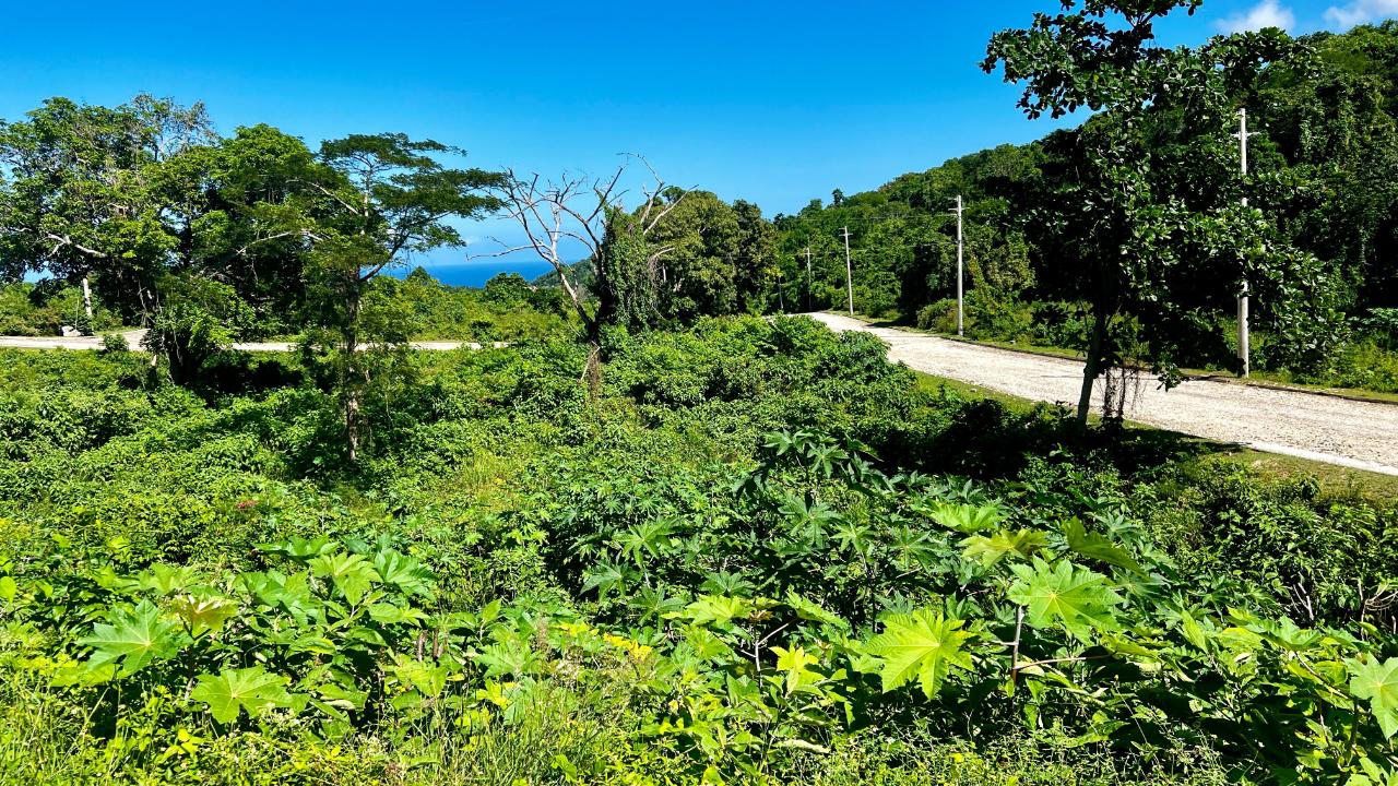 Property Image 6