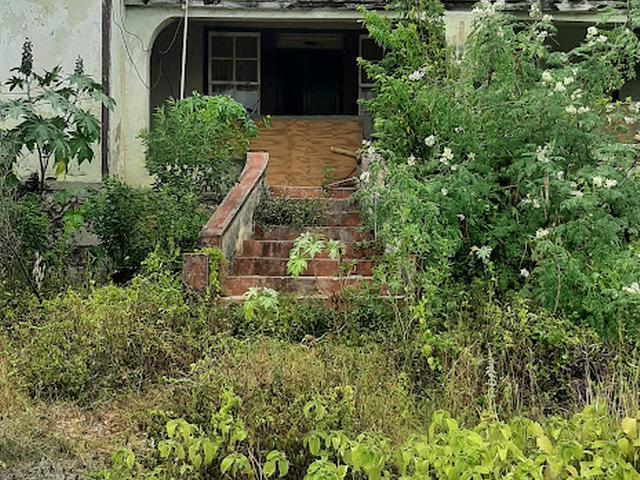 Property Image 12