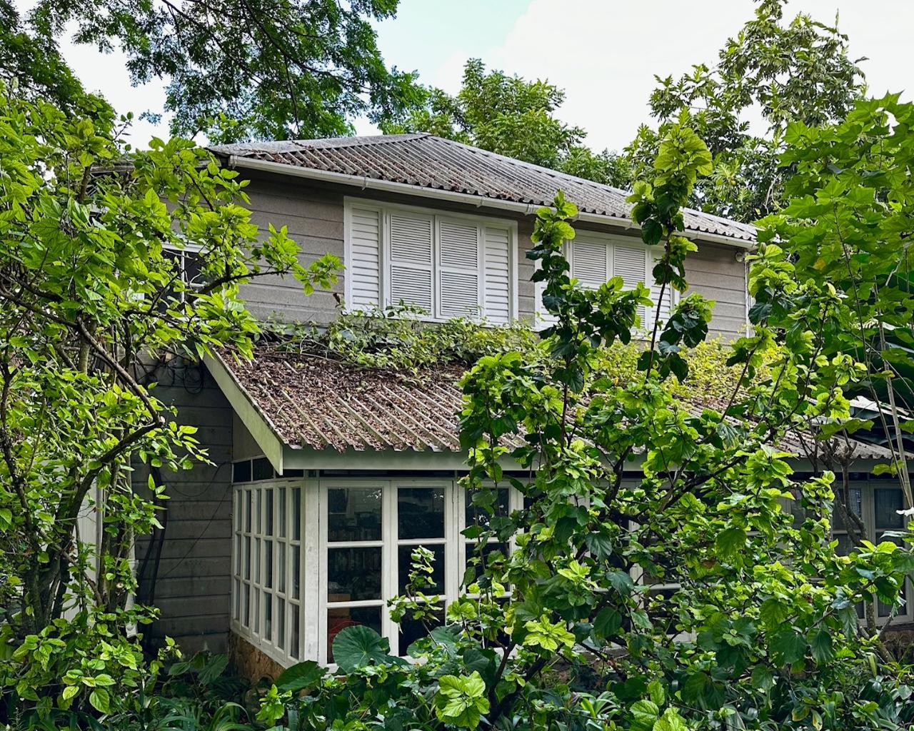 Property Image 26