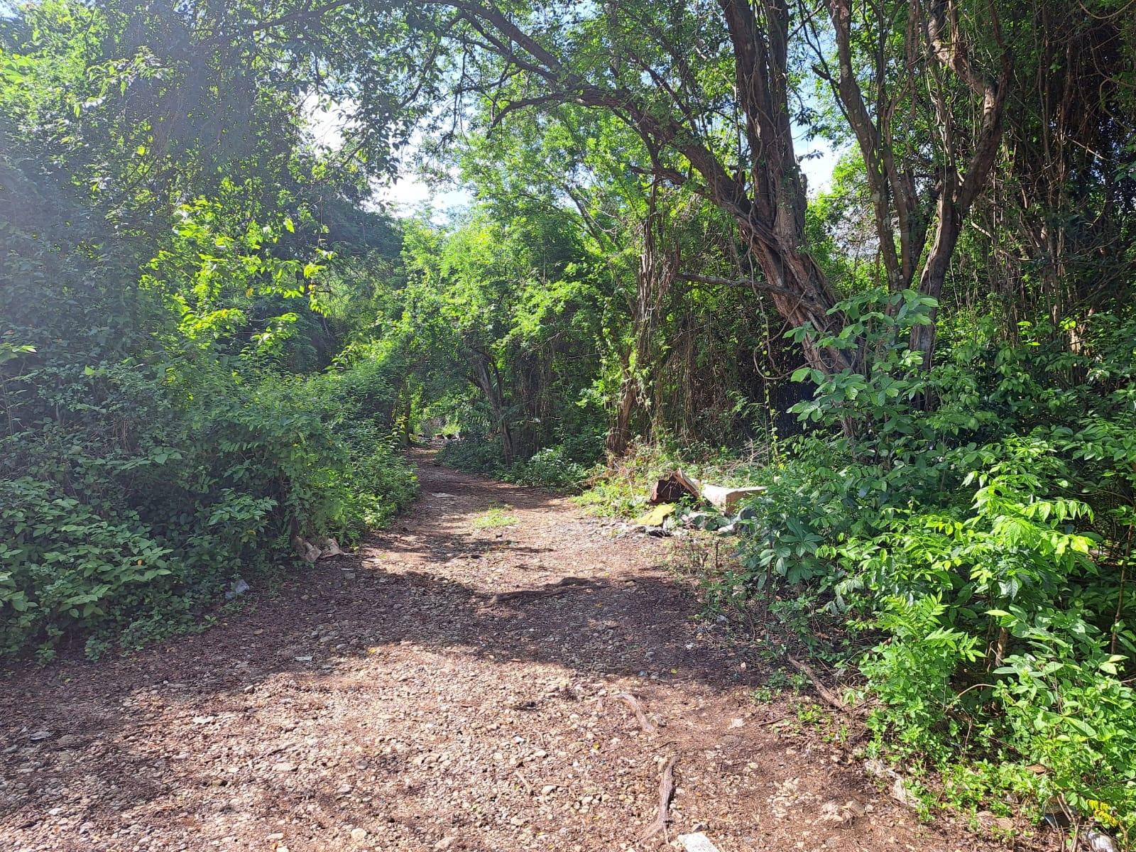 Property Image 4