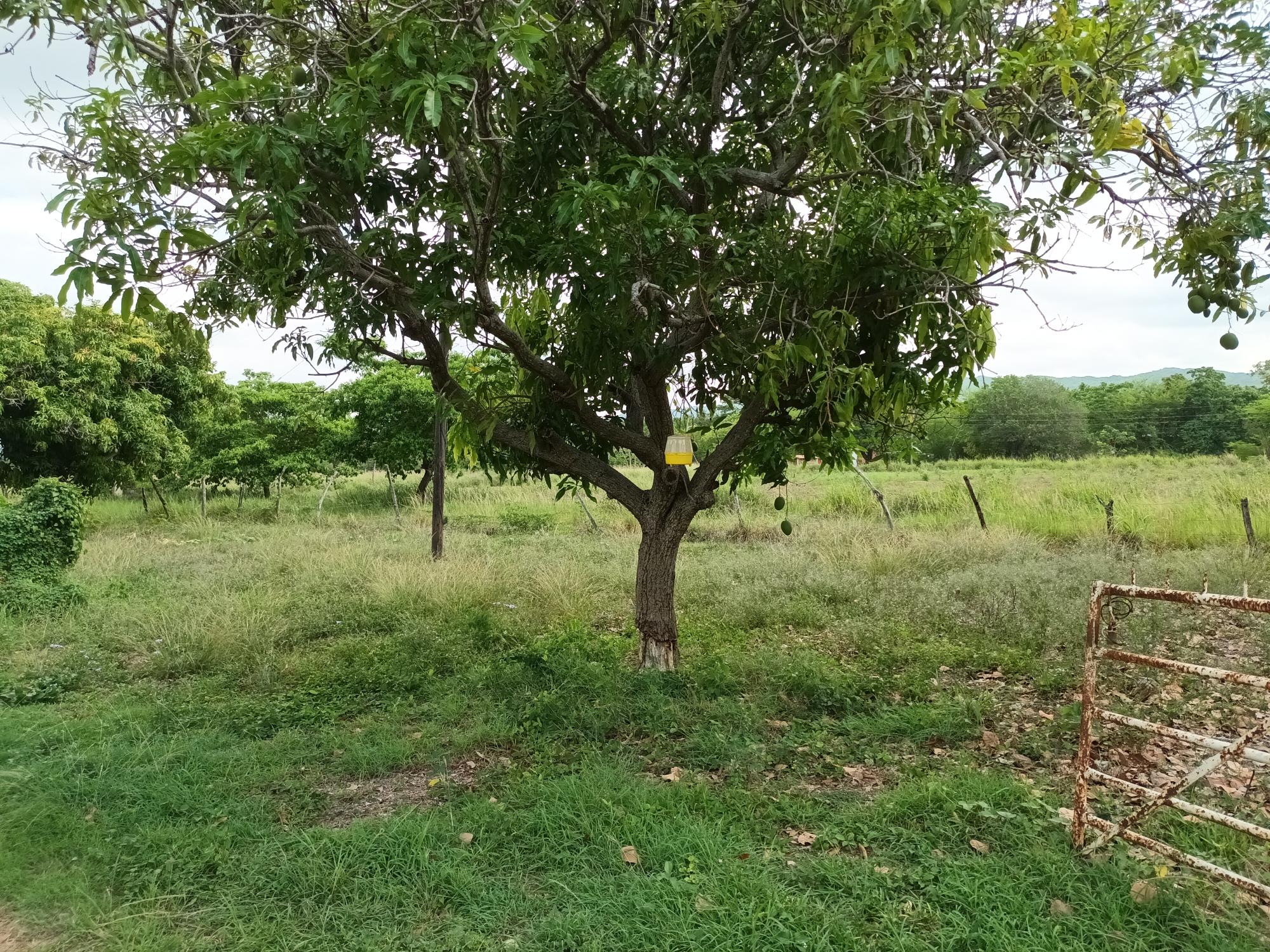 Property Image 8