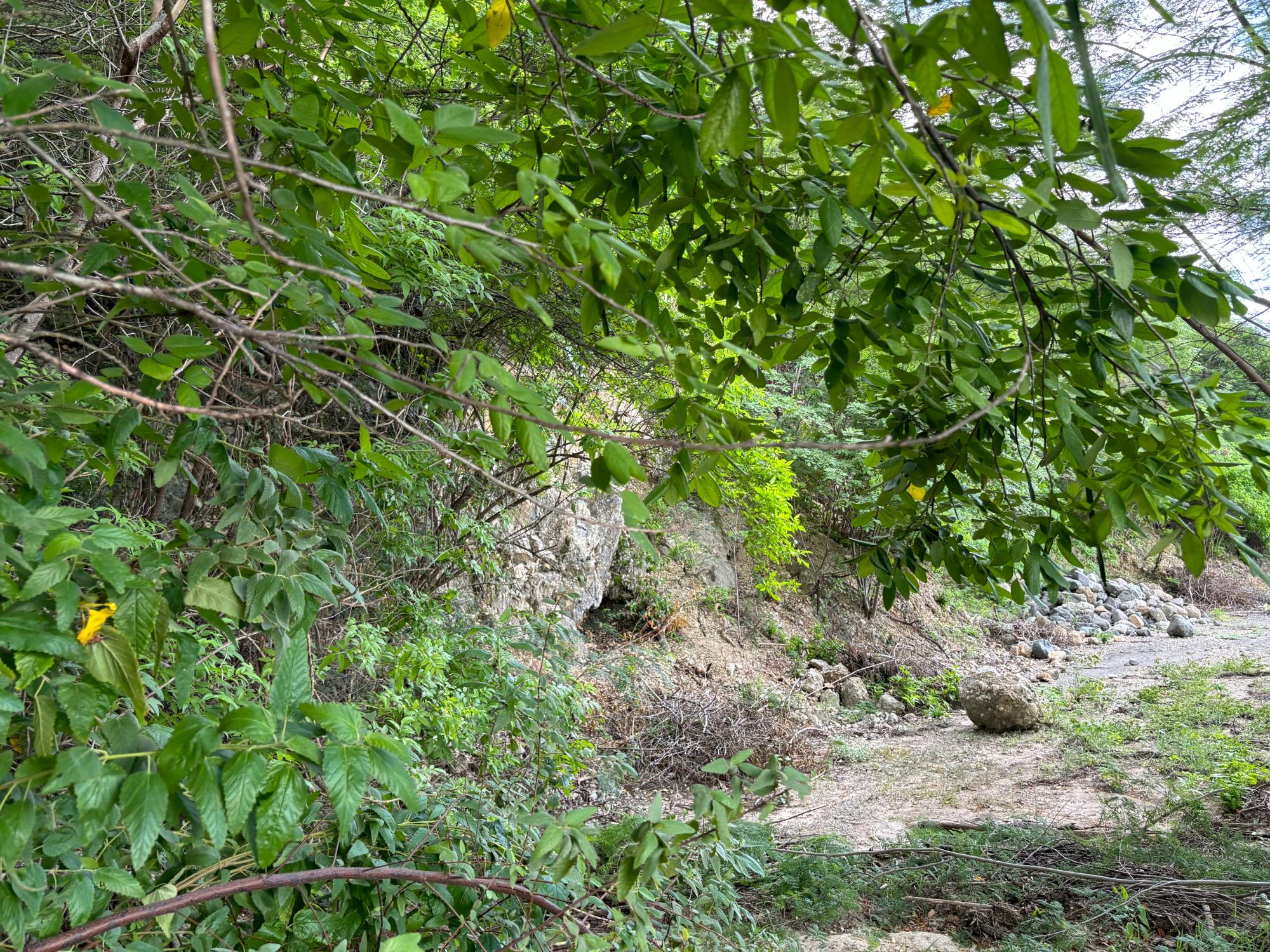 Property Image 14