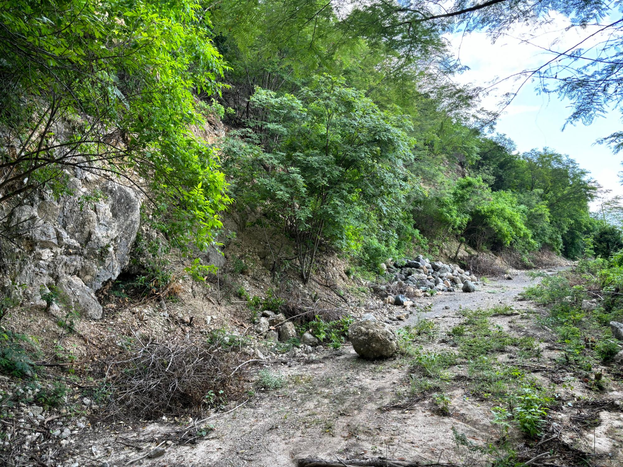 Property Image 19