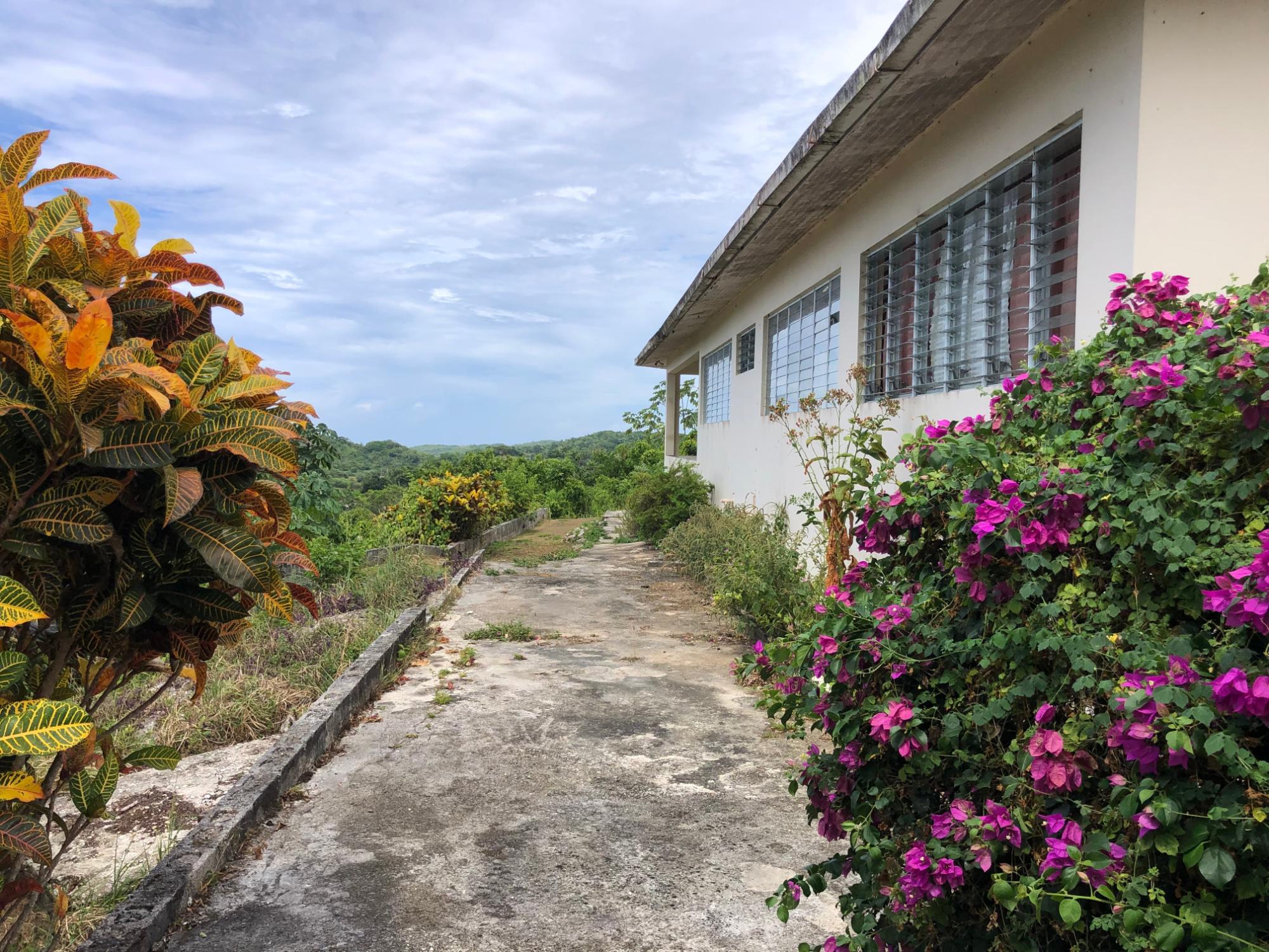 Property Image 9