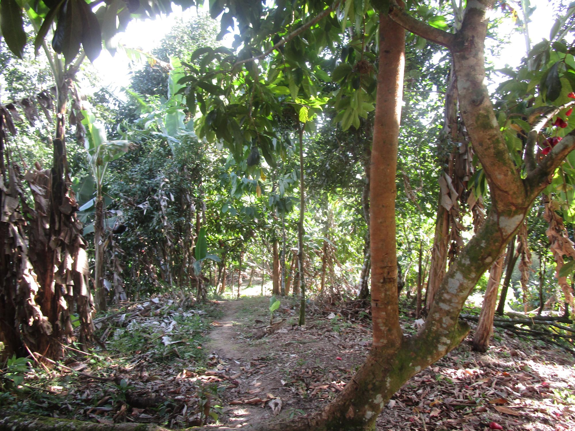 Property Image 5