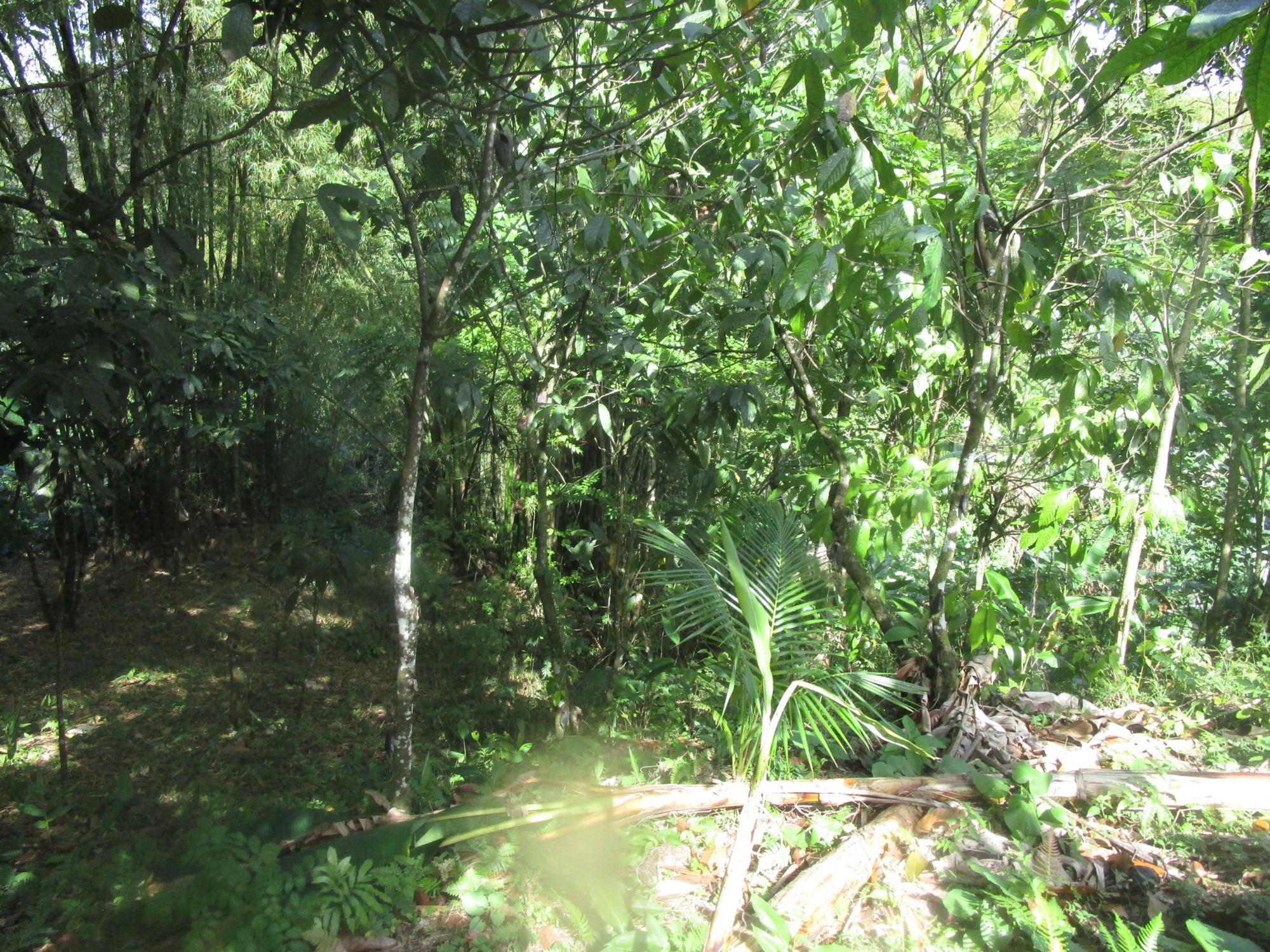 Property Image 6