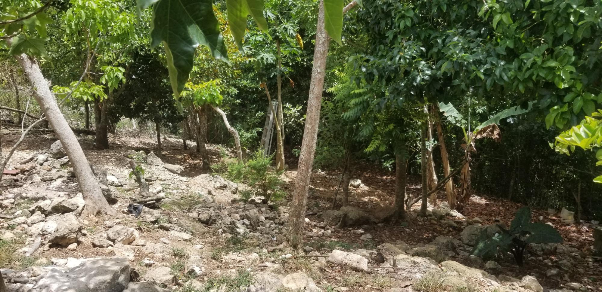 Property Image 17