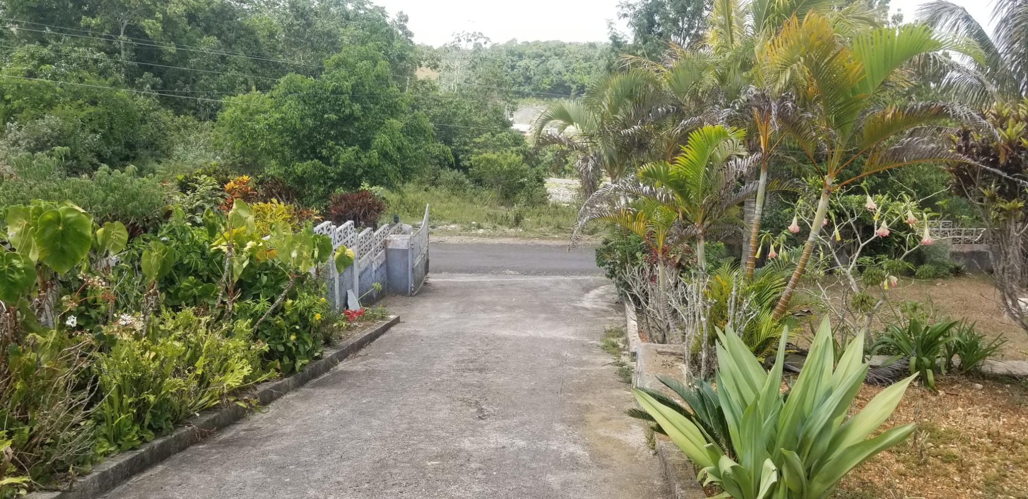 Property Image 21