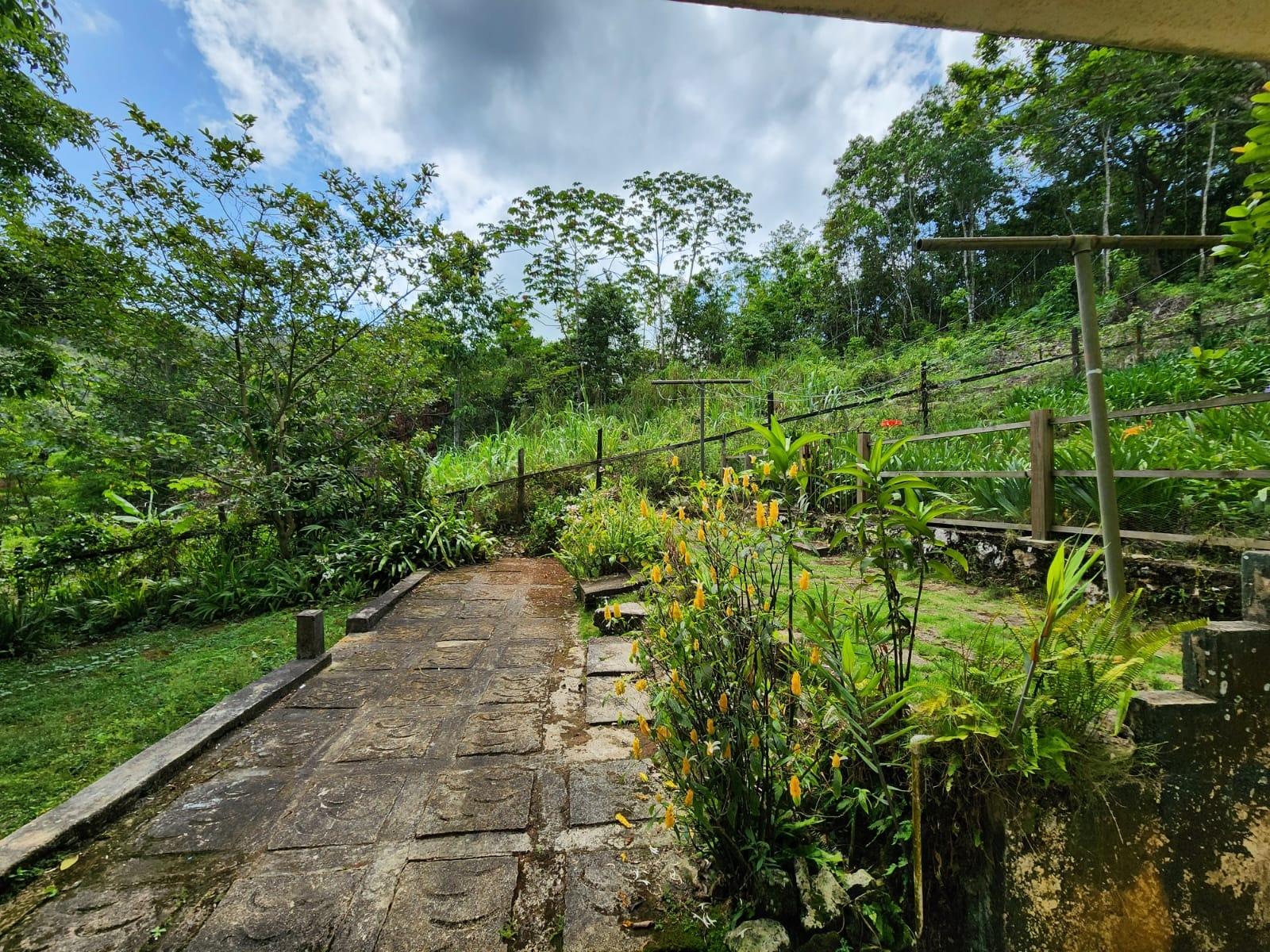 Property Image 38
