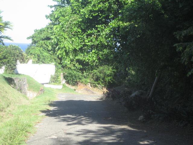 Property Image 37