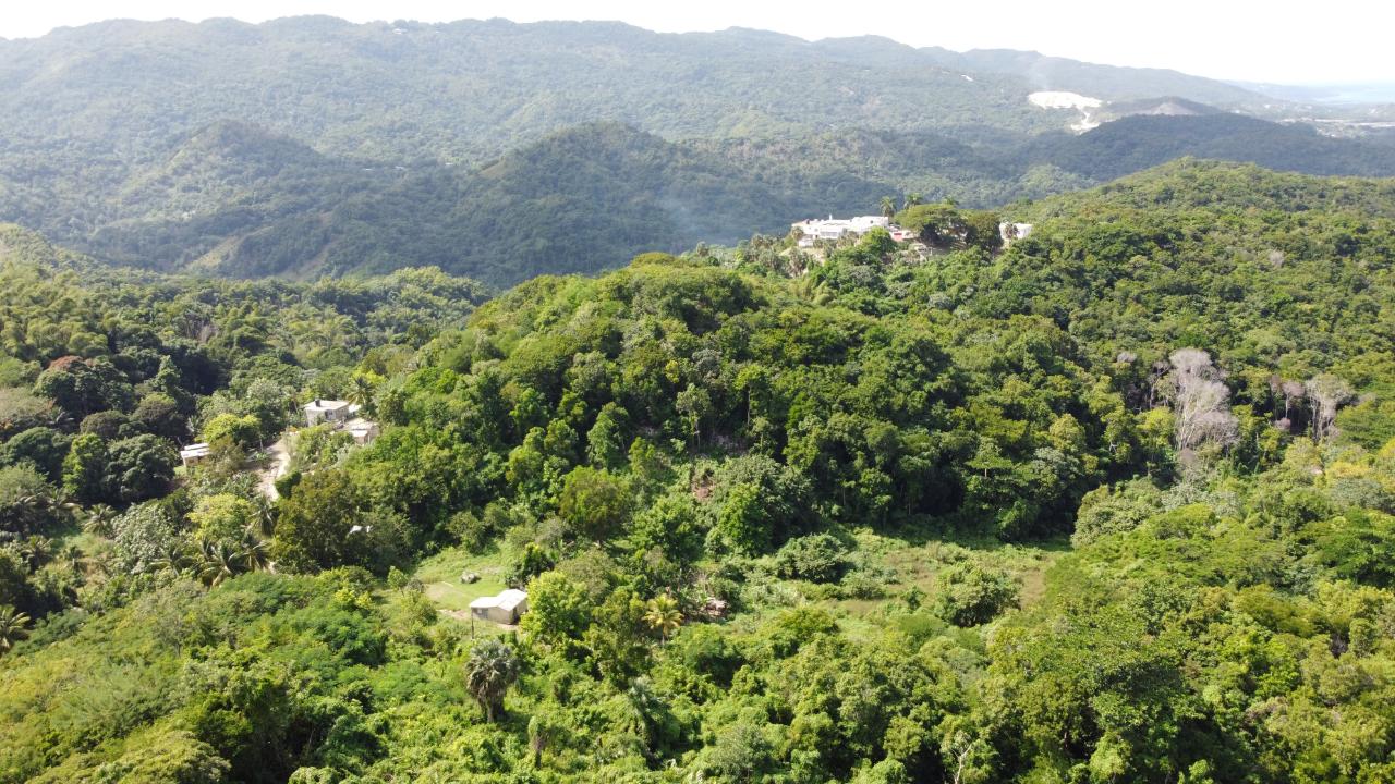 Property Image 58