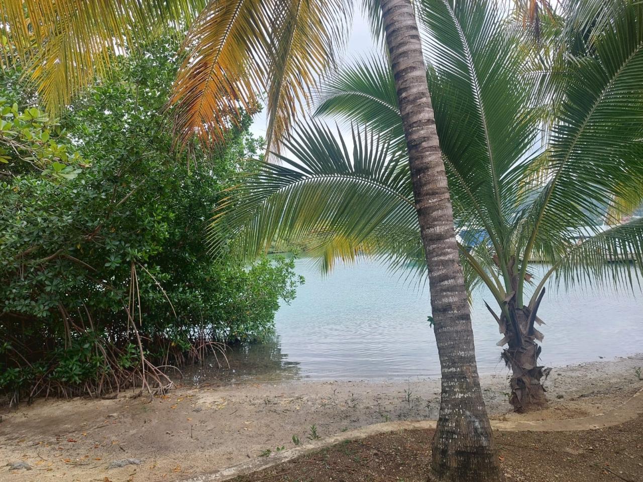 Property Image 9