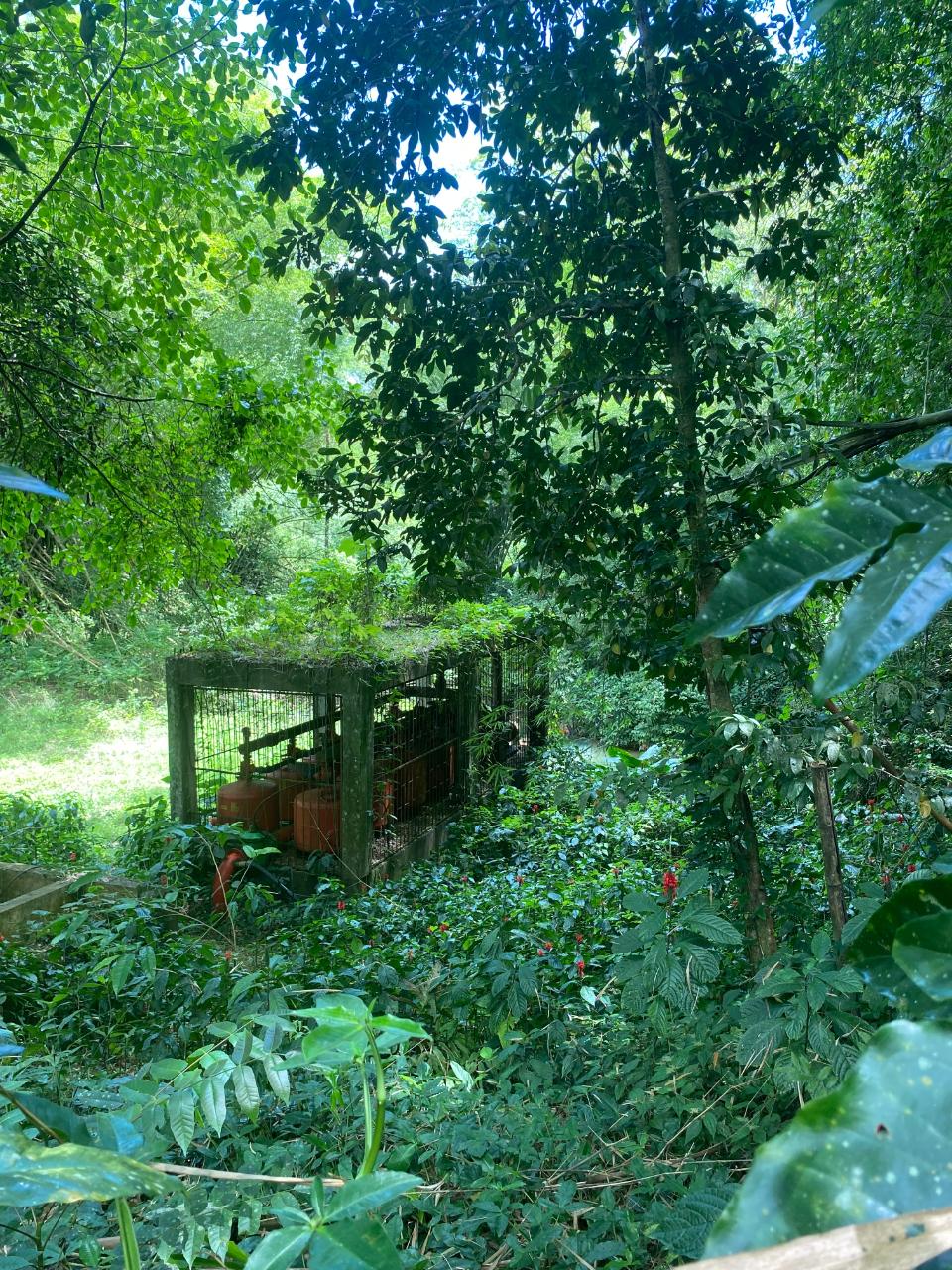Property Image 38