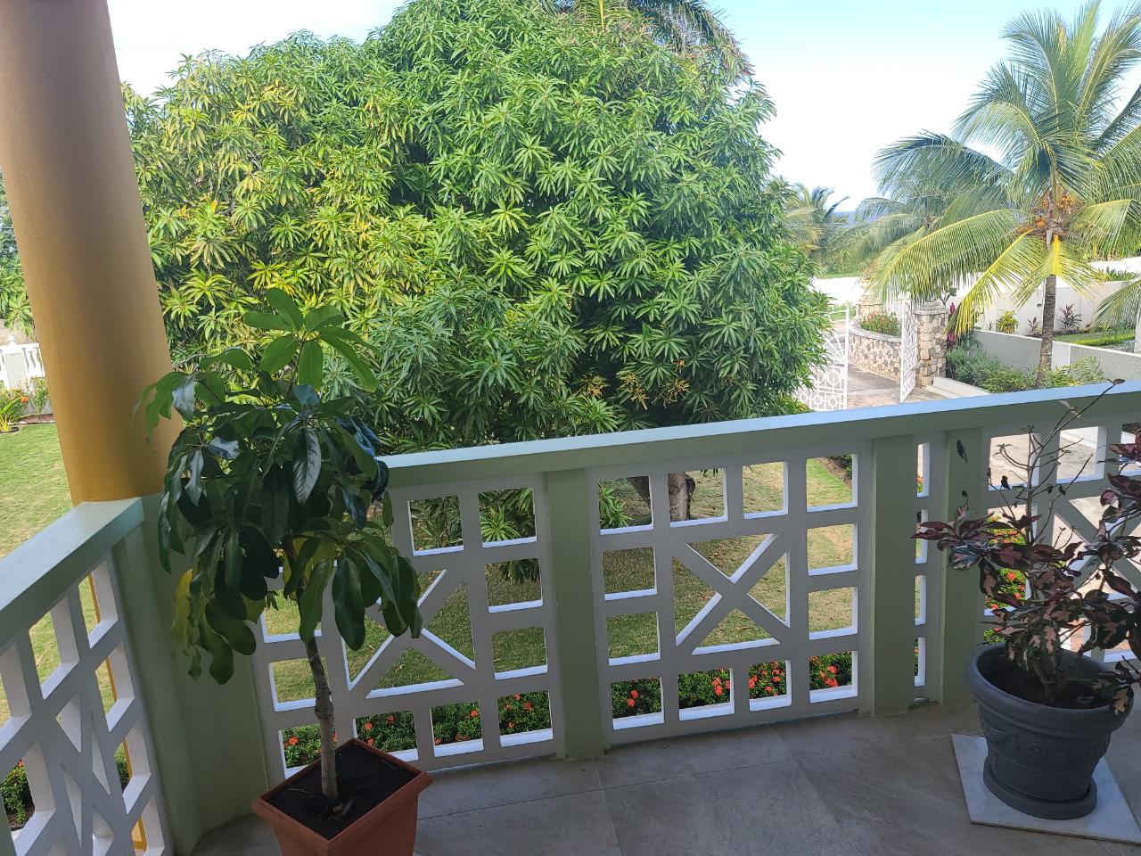 Property Image 58