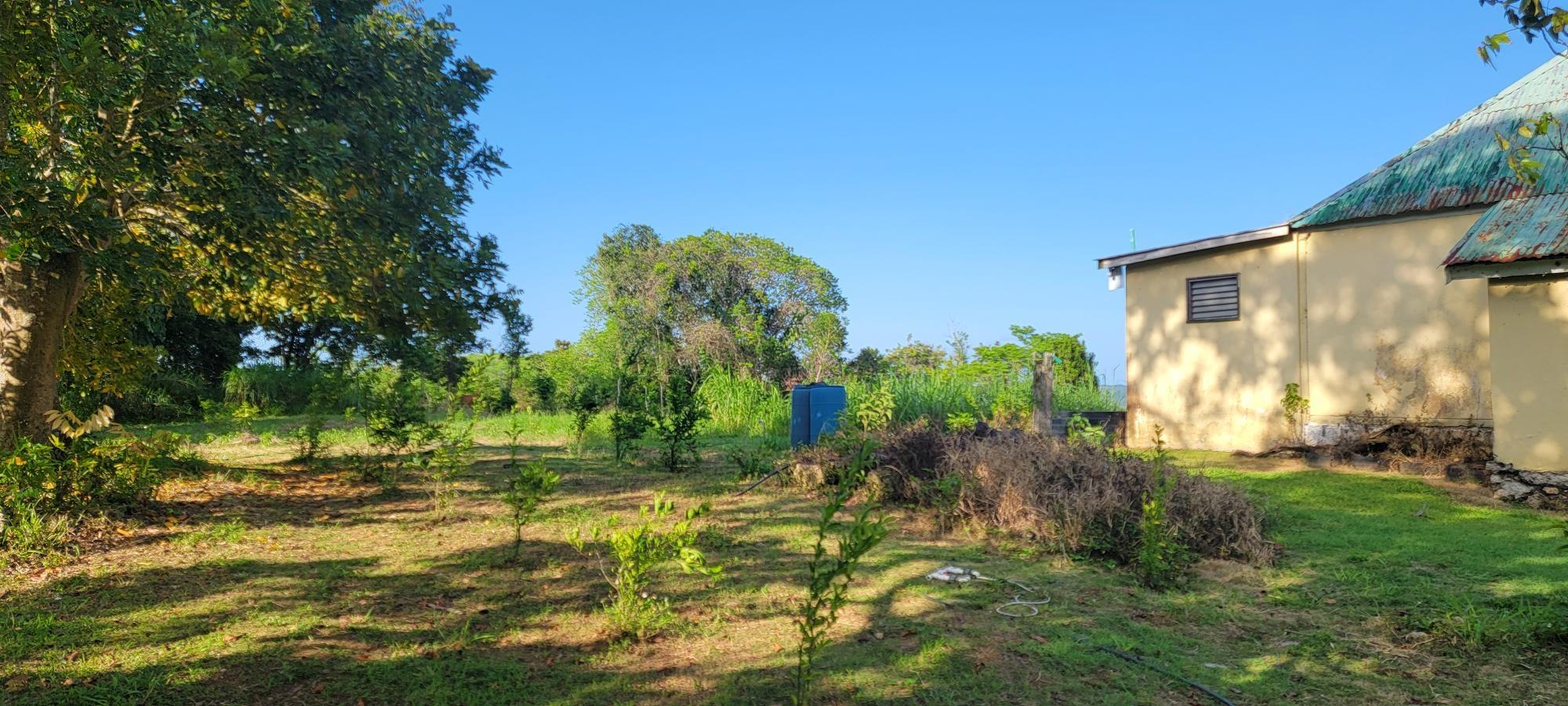 Property Image 33
