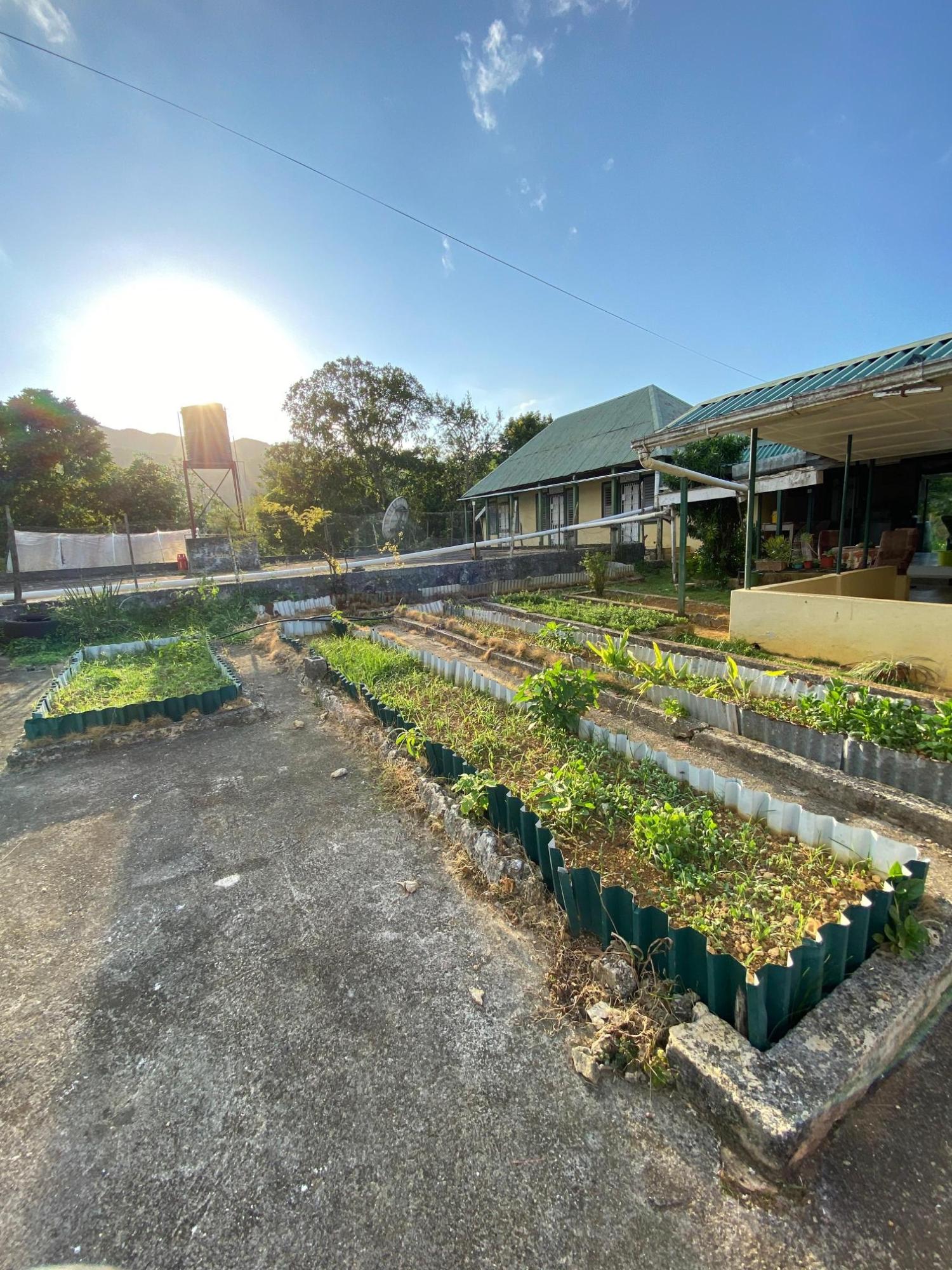 Property Image 40