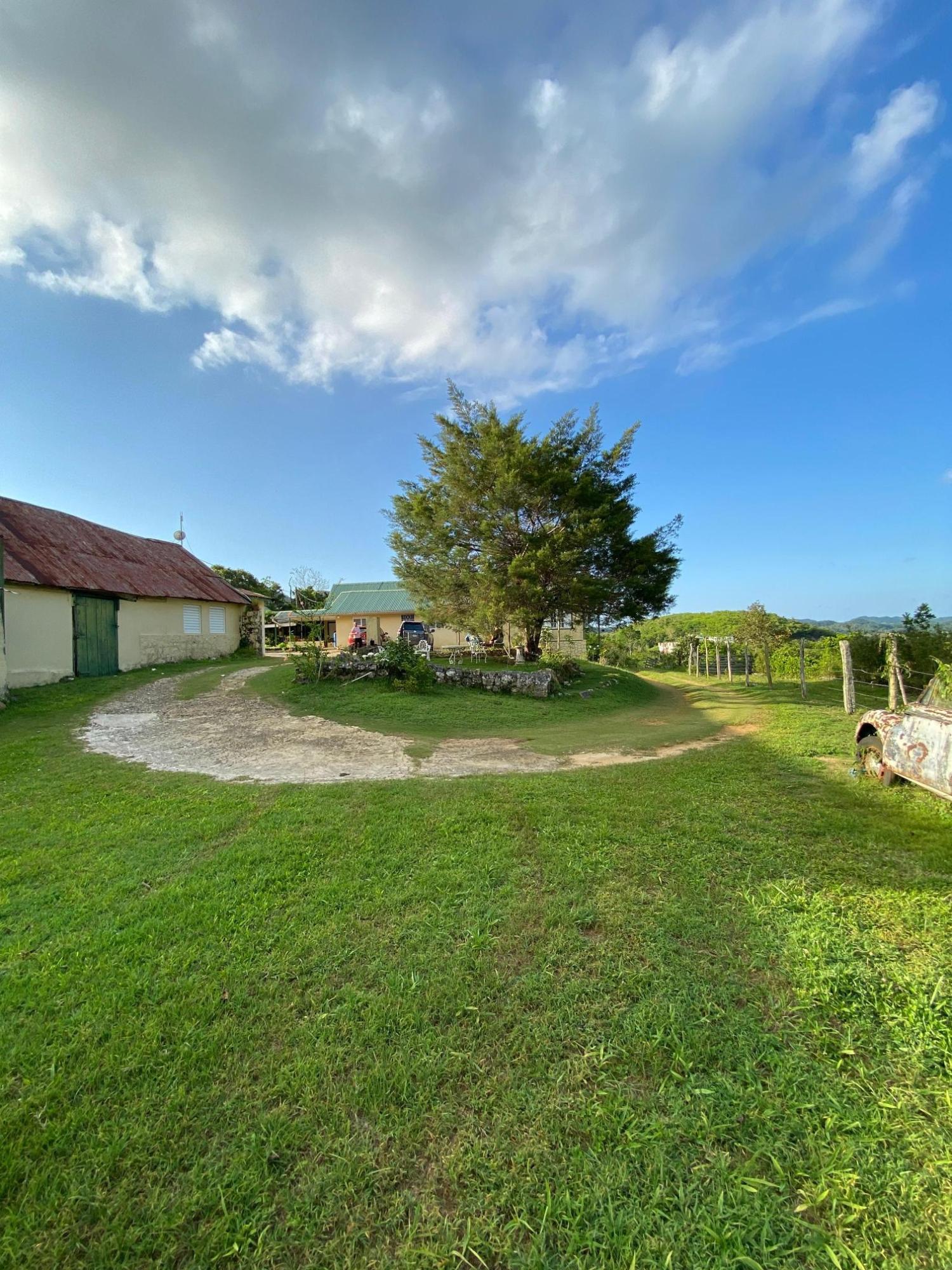 Property Image 52