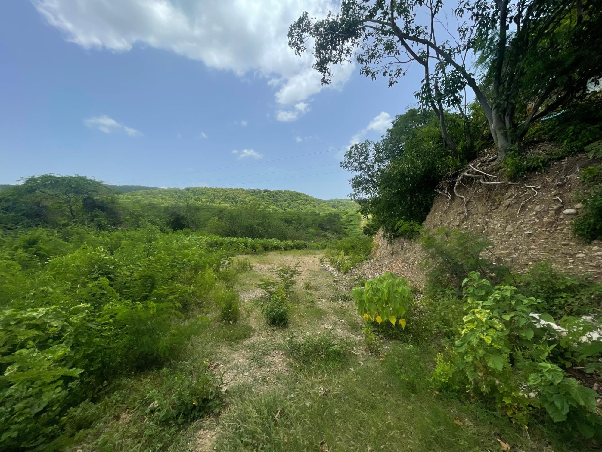 Property Image 6