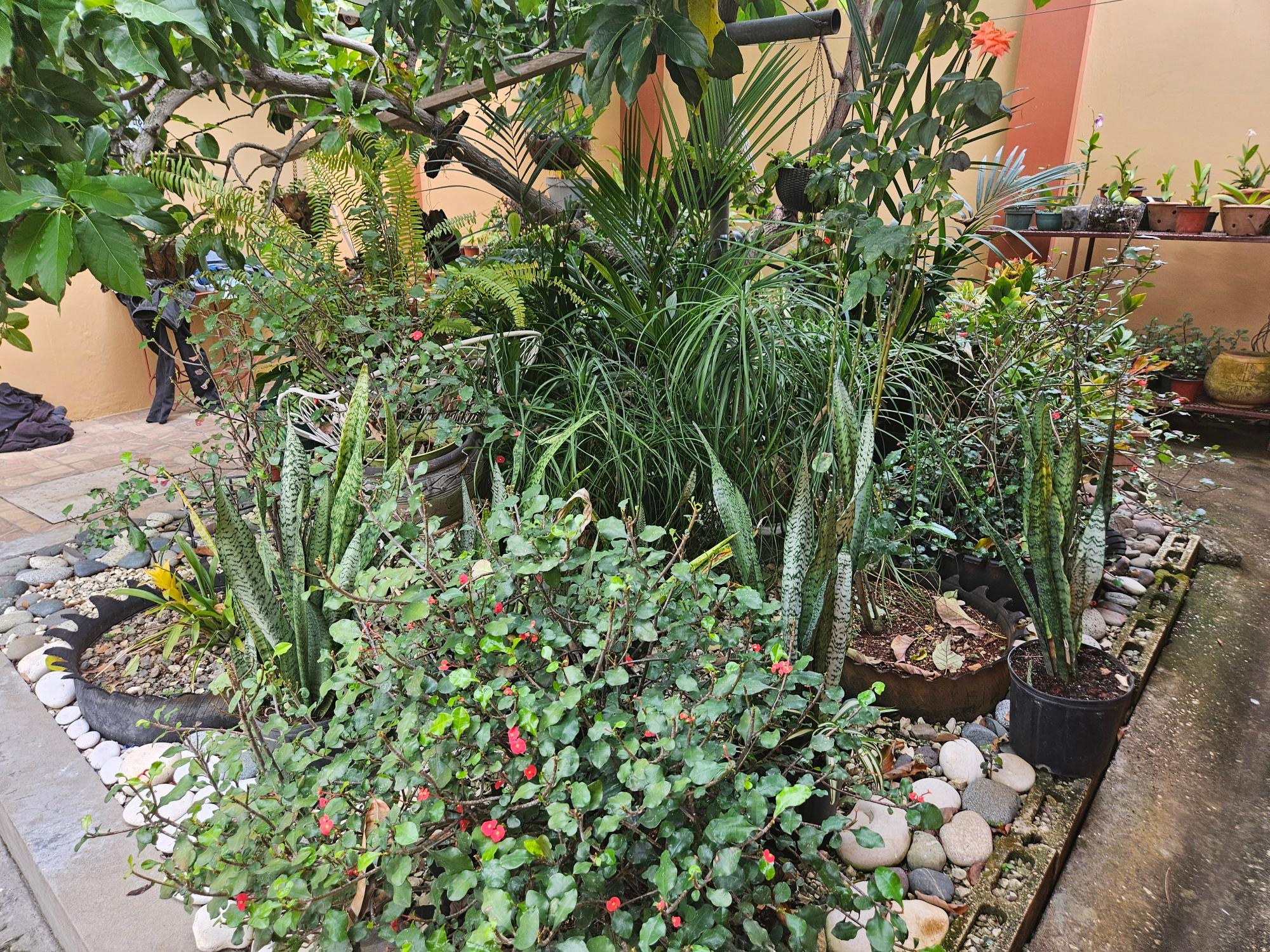Property Image 52