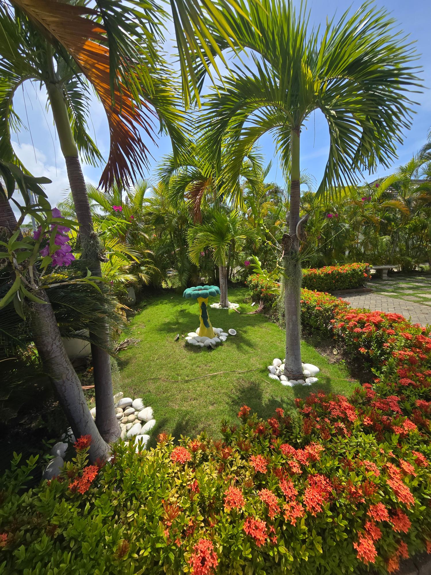 Property Image 33