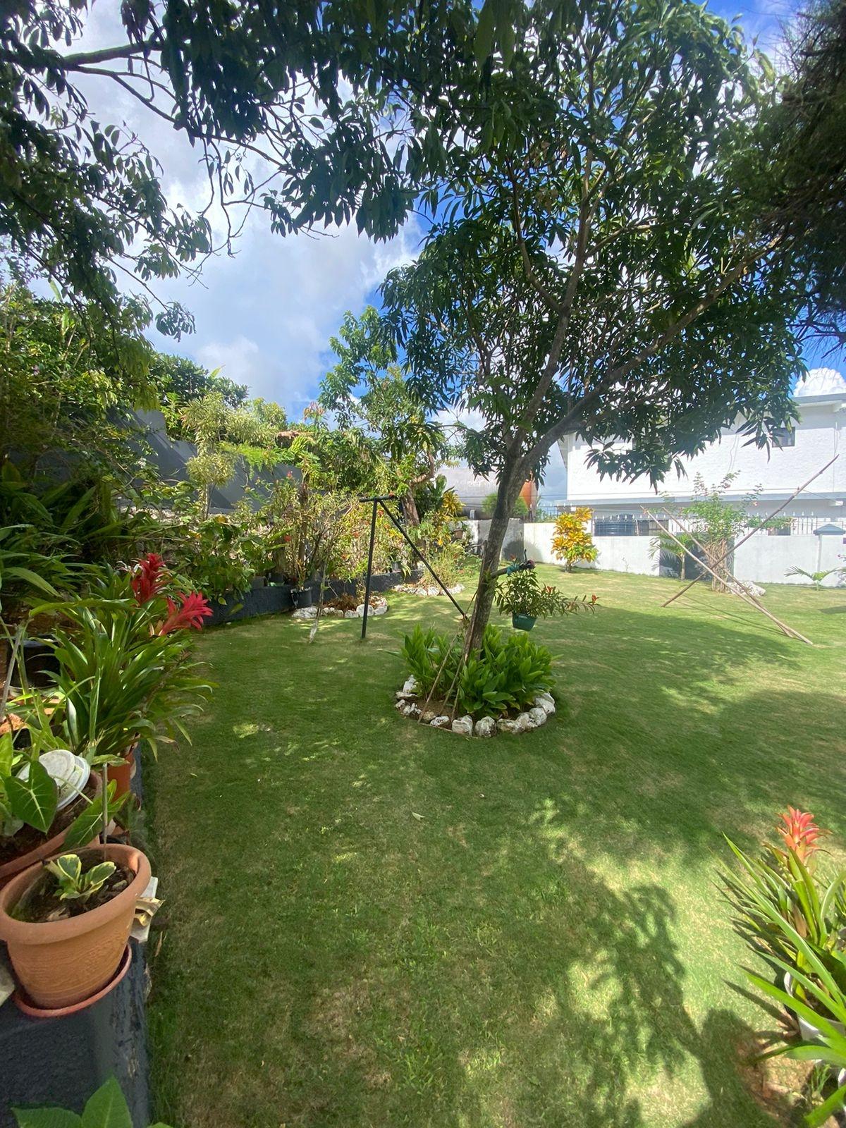 Property Image 56