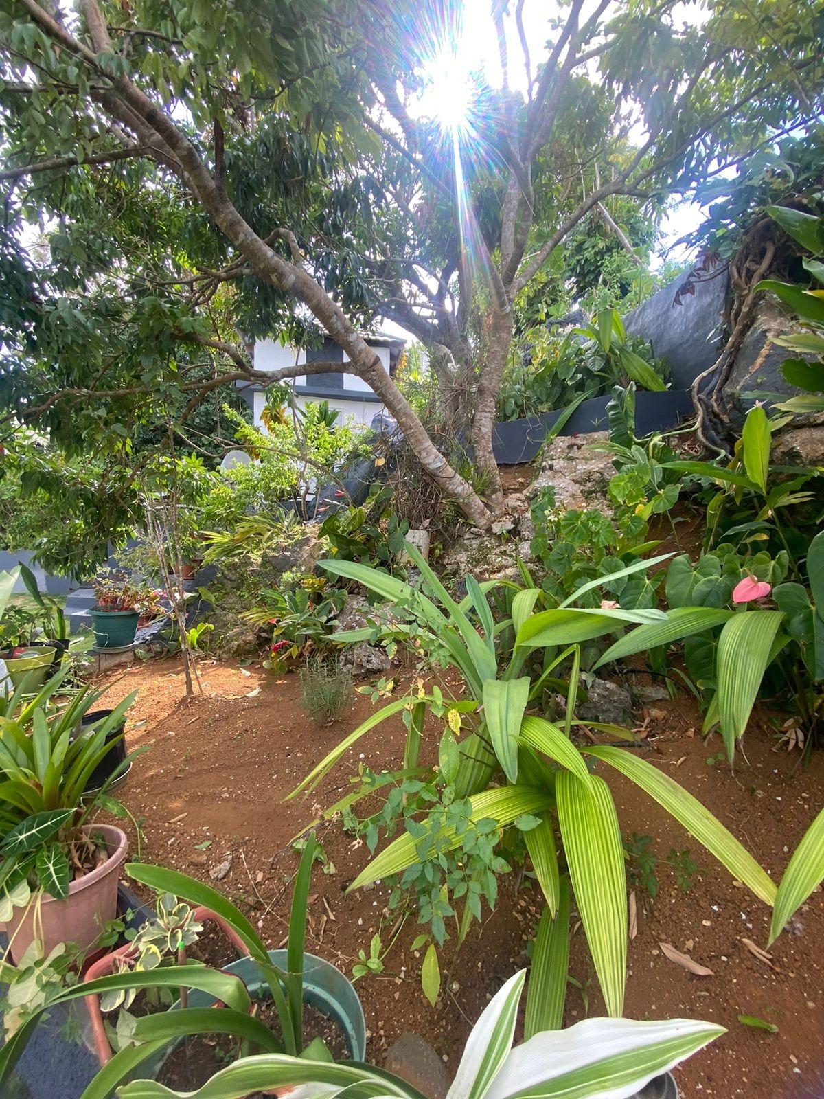 Property Image 57