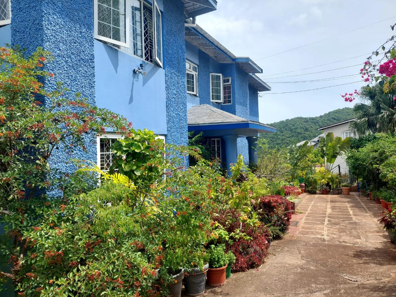 Property Image 5