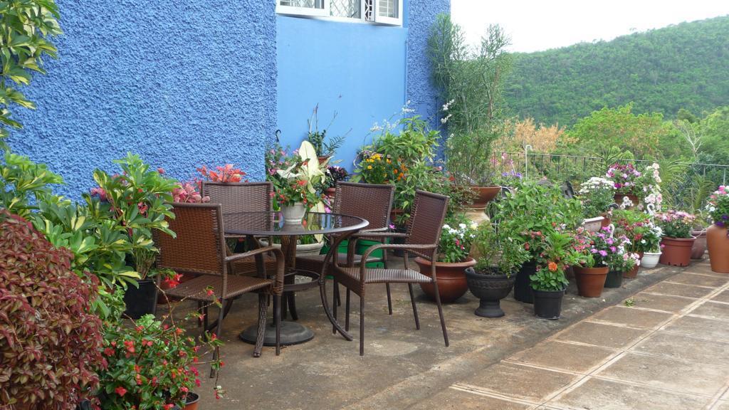 Property Image 42