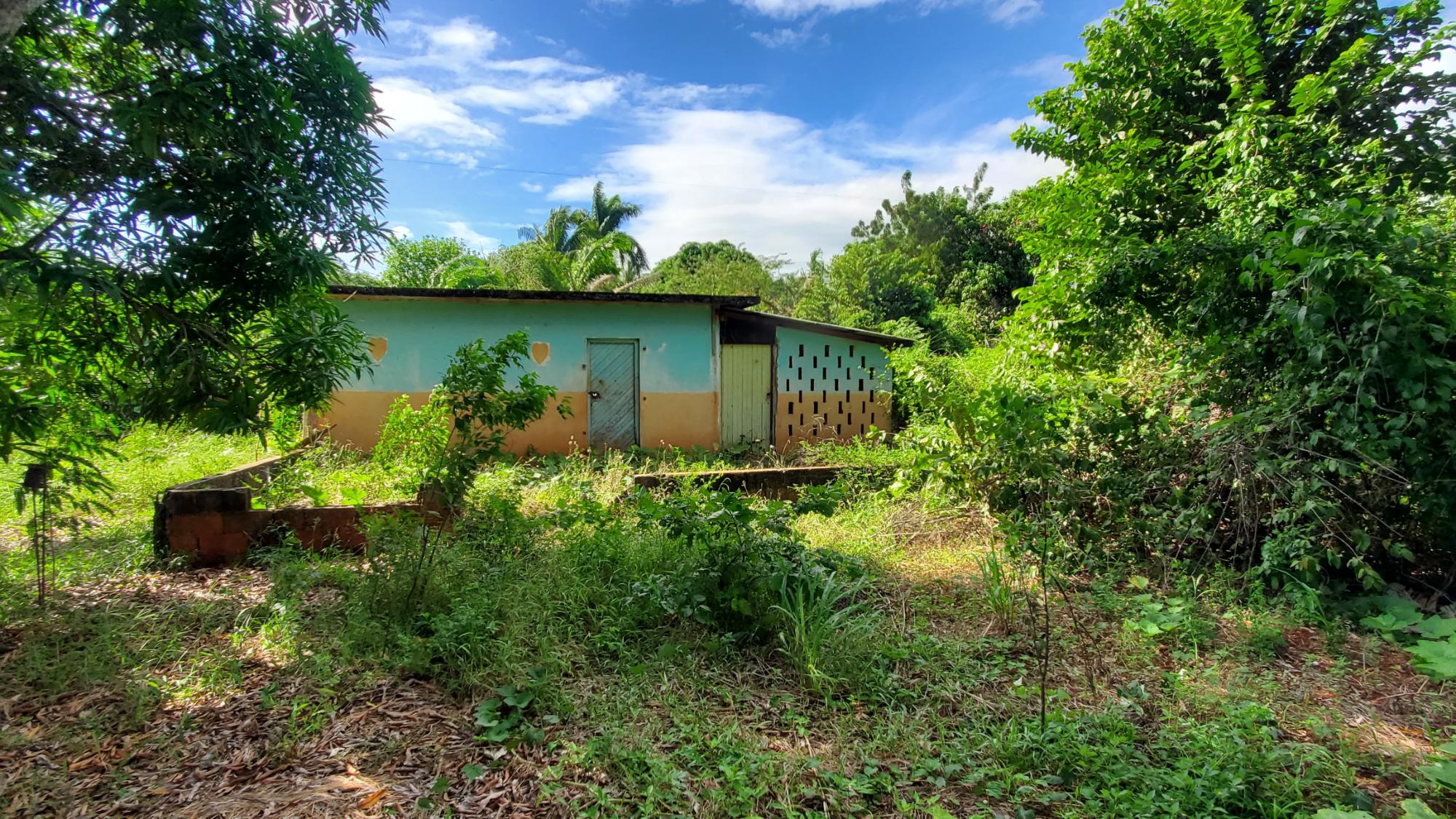 Property Image 25