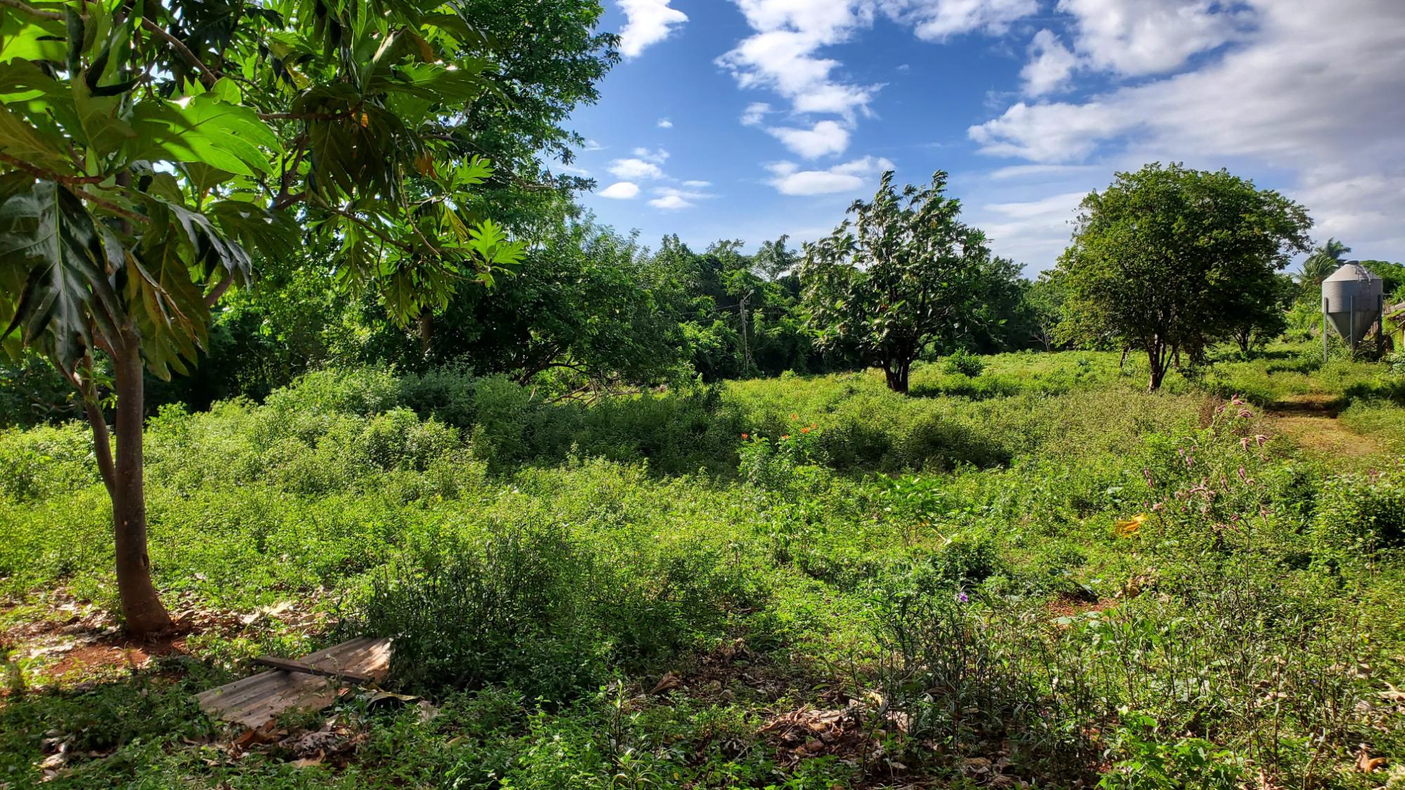 Property Image 30
